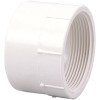 NIBCO 2 in. PVC DWV Hub x FIPT Female Adapter