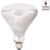 Sylvania 125-Watt BR40 Incandescent Heat Lamp (1-Bulb)