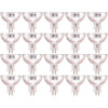 Sylvania 50-Watt MR16 Flood and Spot Halogen Light Bulb Sylvania 50-Watt MR16 Flood and Spot Halogen Light Bulb