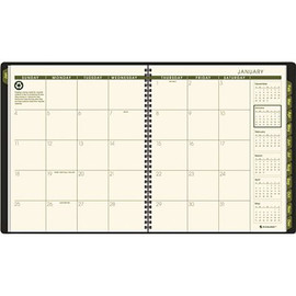 At-A-Glance AT-A-GLANCE RECYCLED MONTHLY PROFESSIONAL PLANNER, 13 MONTHS (JAN-JAN), GREEN COVER