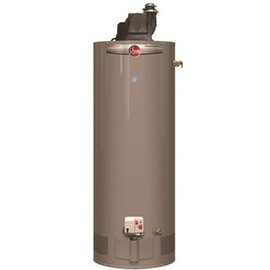 Rheem Professional Classic 40 Gal. Short Power Vent Residential Natural Gas Water Heater with Side T and P Relief Valve