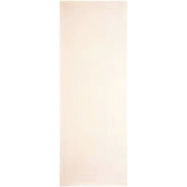 Masonite 30 in. x 80 in. Smooth Flush Primed White Hollow Core Hardboard Composite Interior Door Slab