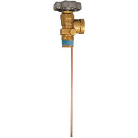 MEC Service Valve 3/4 in. MNPT x F.Pol with 11.7 in. Diptube and Bleeder, No Relief Valve