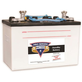 Pro Series Pumps PHCC PRO Series (GLENTRONICS) B-2200 Standby Battery