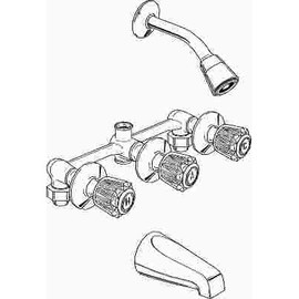 ProPlus 3-Handle 1-Spray Tub and Shower Faucet in Chrome