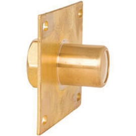 Sioux Chief 1/2 in. CPVC x 1/2 in. FIP Brass Wall Termination Fitting