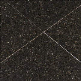 MSI Verde Ubatuba 12 in. x 12 in. Polished Granite Stone Look Floor and Wall Tile (10 sq. ft./Case)