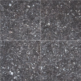 MSI Blue Pearl 12 in. x 12 in. Polished Granite Wall Tile (10 sq. ft. / case)
