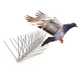 Bird-X 50 ft. Stainless Steel Bird Spikes Pigeons Starling Blackbirds Seagulls 6 in. Coverage