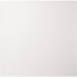 GENESIS 23.75in. X 23.75in. Stucco Pro Vinyl Lay In White Ceiling Tile (Case of 12)