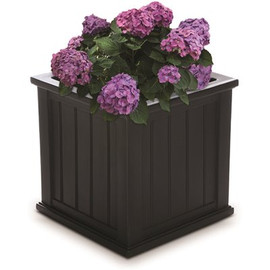 Mayne Cape Cod 20 in Square Self-Watering Black Polyethylene Planter