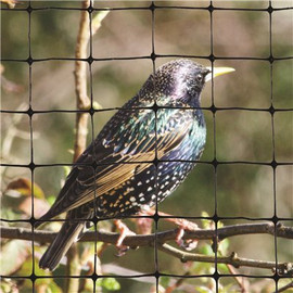 Bird-X 100 ft. x 14 ft. Standard Bird Netting