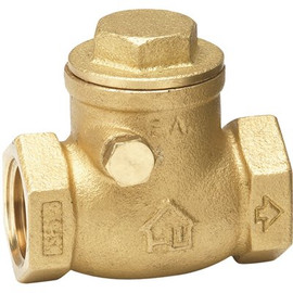 HOMEWERKS 2 in. FIP x 2 in FIP Lead Free Brass Swing Check Valve