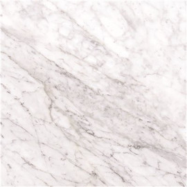 MSI Carrara White 12 in. x 12 in. Honed Marble Stone Look Floor and Wall Tile (10 sq. ft./Case) MSI Carrara White 12 in. x 12 in. Honed Marble Stone Look Floor and Wall Tile (10 sq. ft./Case)