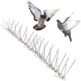 Bird-X Original Stainless Steel Bird Spikes 100 ft. Pigeons Starlings Blackbirds Seagulls 6 in. Coverage