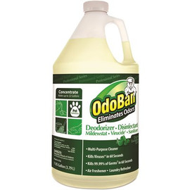 OdoBan 1 Gal. Concentrated Odor Eliminator, Eucalyptus, Bottle, 4/Carton