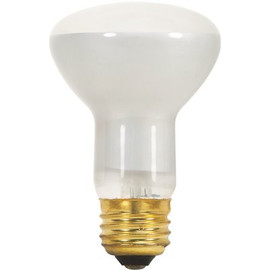 Satco 45-Watt R20 Medium Base Flood Incandescent Light Bulb in Warm White (12-Pack)