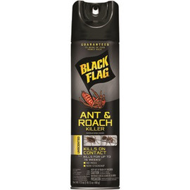 Black Flag 17.5 oz. Ant and Roach Killer Aerosol Unscented Spray
