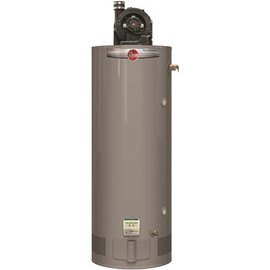 Rheem Heavy-Duty 75 Gal. Power-Vent Residential Natural Gas Water Heater 75100 BTU Side Relief Valve