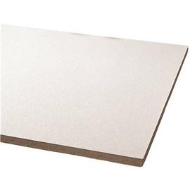Armstrong CEILINGS Clean Room VL-Unperforated 2 ft. x 4 ft. Ceiling Tile ( 64 sq.ft. / Case) Armstrong CEILINGS Clean Room VL-Unperforated 2 ft. x 4 ft. Ceiling Tile ( 64 sq.ft. / Case)