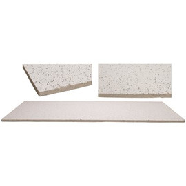 Armstrong World Industries Vinylclad Gypsum 2 ft. x 4 ft. Square Lay In Ceiling Panel (16 sq. ft. / case)