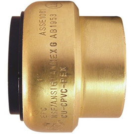Tectite 1 in. Brass Push-to-Connect Cap
