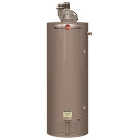 Rheem 75 gal. 75,000 BTU Pro Classic Plus Tall Power Direct Vent Residential Natural Gas Water Heater, Side T&P Relief Valve
