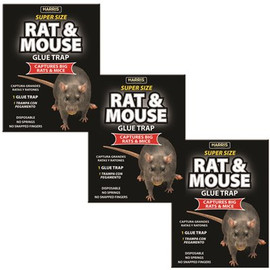 Harris Rat and Mouse Glue Trap Super-Size with Lure (3-Pack)