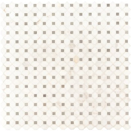 MSI Bianco Dolomite 13 in. x 13.25 in. Polished Marble Look Floor and Wall Tile (10.6 sq. ft./Case) MSI Bianco Dolomite 13 in. x 13.25 in. Polished Marble Look Floor and Wall Tile (10.6 sq. ft./Case)