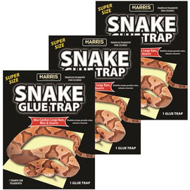 Harris Snake Glue Trap Super Size (3-Pack)