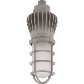 Vaportite 150- - -Watt Equivalent Integrated LED Gray Wall Pack Light/Ceiling Mount 5000K Frosted Glass Globe and Guard