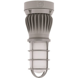 150-Watt Equivalent Integrated LED Gray Outdoor/Indoor Wall Pack Light with Frosted Glass Globe/Guard, Ceiling Mount