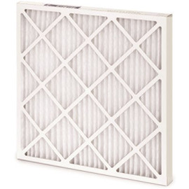 10 in. x 20 in. x 1 Pleated Air Filter MERV 13 (Case of 12)