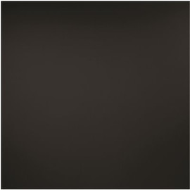 GENESIS 23.75in. x 23.75in. Smooth Pro Lay In Vinyl Black Ceiling Tile (Case of 12)