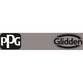 PPG TIMELESS 1 gal. #PPG1001-5 Dover Gray Semi-Gloss Exterior One-Coat Paint with Primer