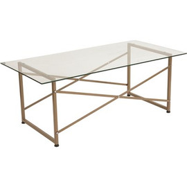 Carnegy Avenue 48 in. Clear/Matte Gold Large Rectangle Glass Coffee Table