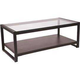 Carnegy Avenue 48 in. Clear/Black Large Rectangle Glass Coffee Table with Shelf