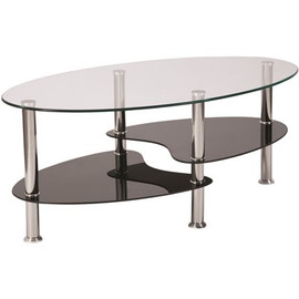 Carnegy Avenue 40 in. Clear/Stainless Steel Medium Oval Glass Coffee Table with Shelf