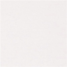 SpectraTile Finale Waterproof Ceiling Tile 2 ft. x 2 ft. White (Pack of 12)