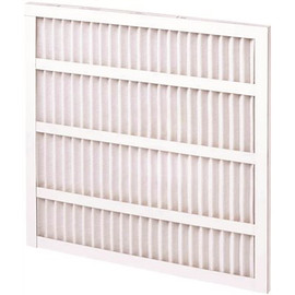 Rochester 20x25x2 MERV 8 Standard Capacity Pleated Air Filter