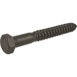 1/2 in. x 5 in. Black Exterior Hex Lag Screws (25-Pack)