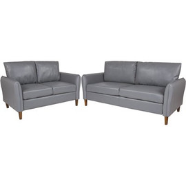 Carnegy Avenue 2-Piece Gray Colored Living Room Set