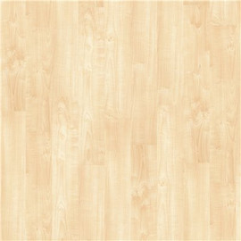 Shaw Vermont Essex 6 in. x 36 in. Glue Down Luxury Vinyl Plank (44.56 sq. ft./case)