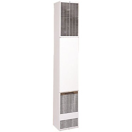 Williams Forsaire 40,000 BTU Counterflow Direct Vent Natural Gas Wall Heater