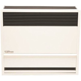 Williams 30,000 BTUH 66% AFUE Direct-Vent Propane Gas Gravity Wall Heater