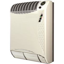 Williams 17,700 BTU Direct Vent Natural Gas High Efficiency Wall Heater