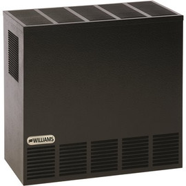 Williams 20,000 BTU Enclosed Front Natural Gas Room Heater