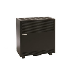 Williams 50,000 BTU Enclosed Front Natural Gas Room Heater