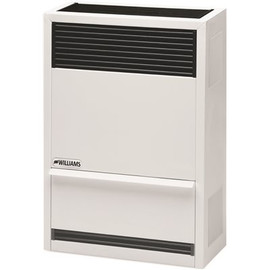 Williams 14,000 BTU Direct Vent Gravity Natural Gas Heater with High Altitude Orifices