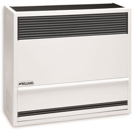 Williams 22,000 BTU Direct Vent Gravity Natural Gas Heater with High Altitude Orifices